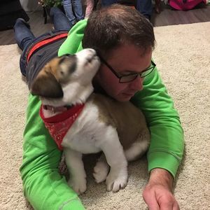 Meet your Posher, Elaine